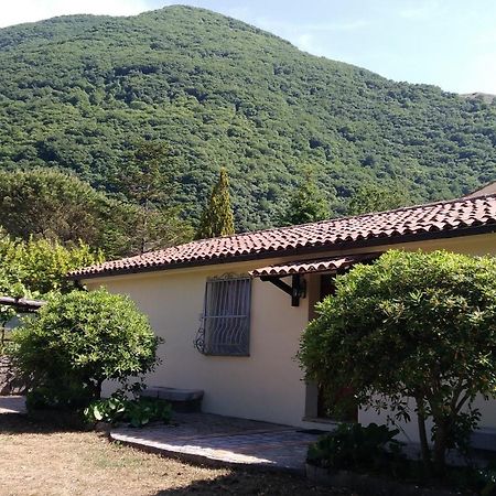 Agriturismo Collevento Trecchina Extérieur photo