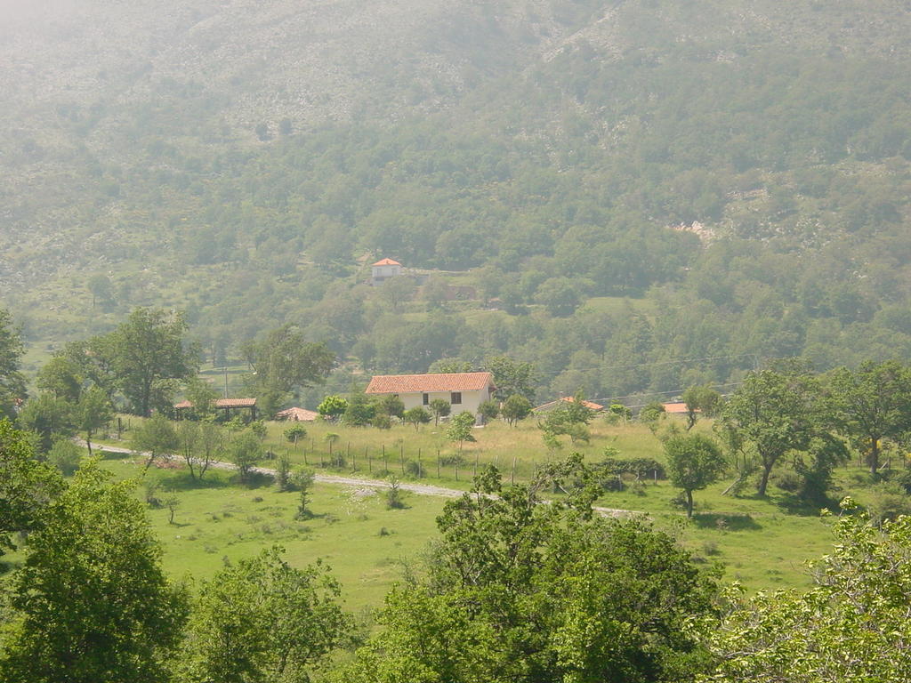 Agriturismo Collevento Trecchina Extérieur photo